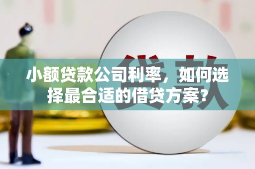 环江小额贷款公司利率，如何选择最合适的借贷方案？