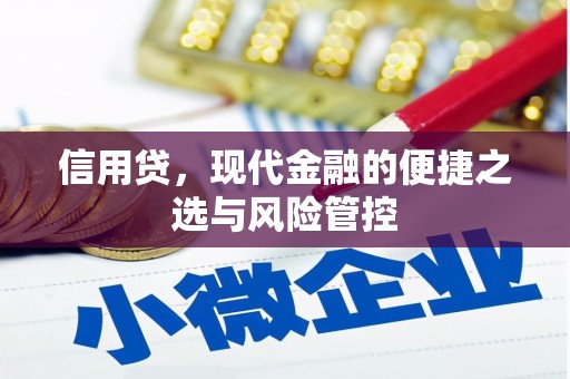 官渡信用贷，现代金融的便捷之选与风险管控