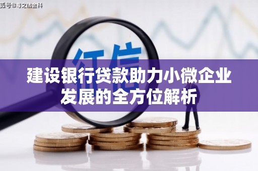 利通建设银行贷款助力小微企业发展的全方位解析