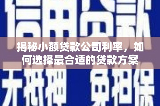 于洪揭秘小额贷款公司利率，如何选择最合适的贷款方案