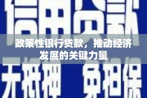 宁陕政策性银行贷款，推动经济发展的关键力量