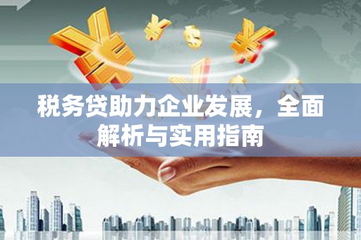 莫旗税务贷助力企业发展，全面解析与实用指南