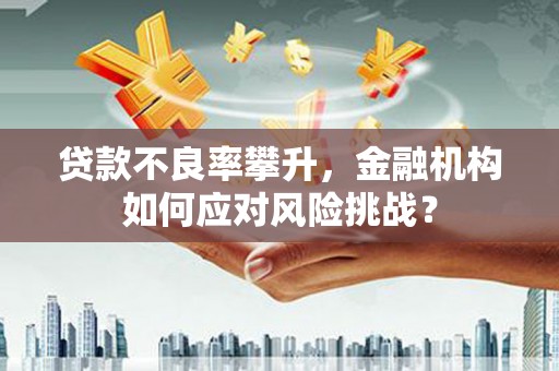 宝丰贷款不良率攀升，金融机构如何应对风险挑战？