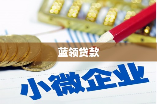 邵阳蓝领贷款
