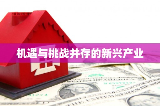 云岩机遇与挑战并存的新兴产业