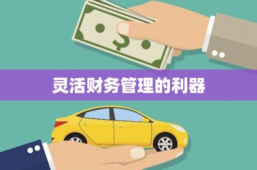 池州灵活财务管理的利器