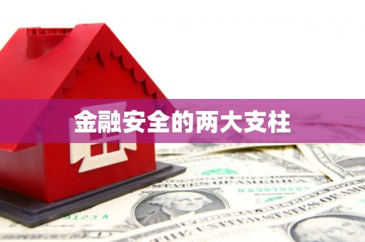 洋县金融安全的两大支柱