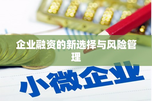 颍州企业融资的新选择与风险管理