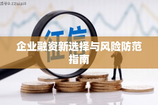 洋县企业融资新选择与风险防范指南