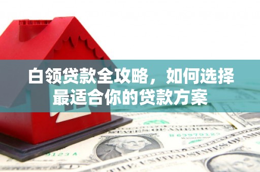 阜城白领贷款全攻略，如何选择最适合你的贷款方案