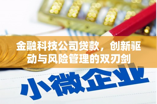 麦积金融科技公司贷款，创新驱动与风险管理的双刃剑